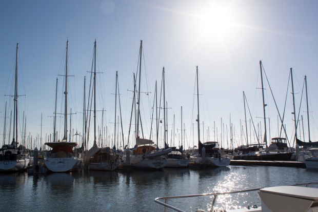 San Diego, Sailboats, Marina near Coronado, California